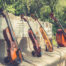 String quartet instruments. Meet the Instruments