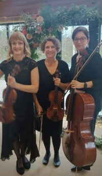 string quartet in cheshire
