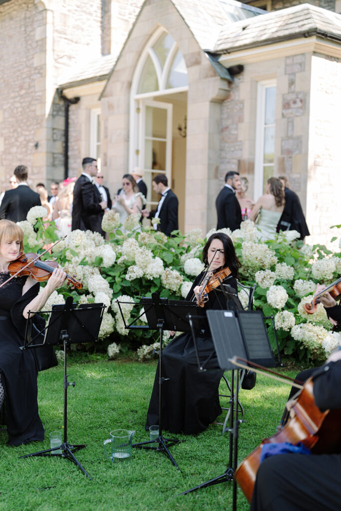 wedding string quartet