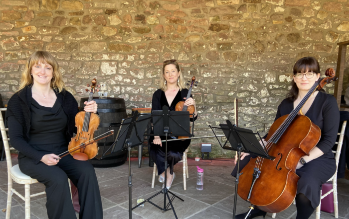 We Offer a Trio As Well. A photo of the Bridgewater String Trio